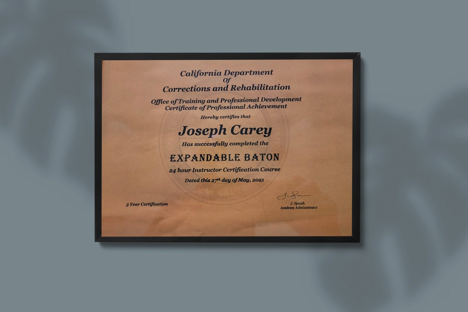 Expandable Baton Training